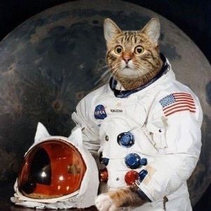 Meet your Posher, Pierre